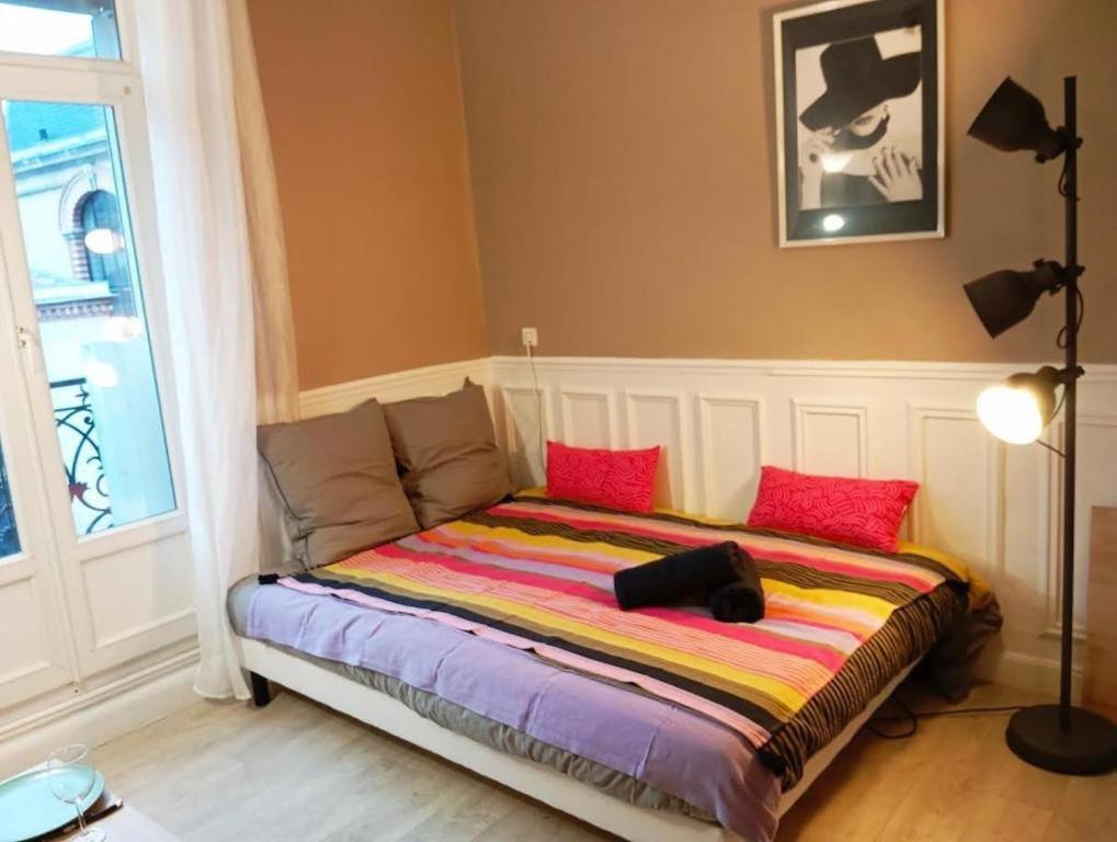 520 Grand En Hypercentre Appartement *